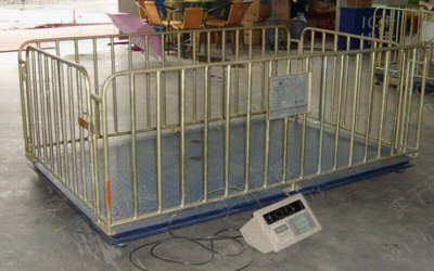 養(yǎng)雞場5T家禽稱重秤工廠直銷-產品報價-上海實干實業(yè)